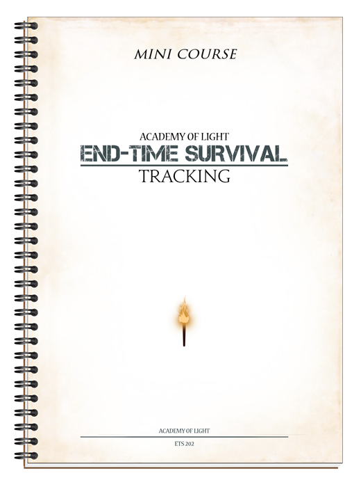 Tracking - a mini course