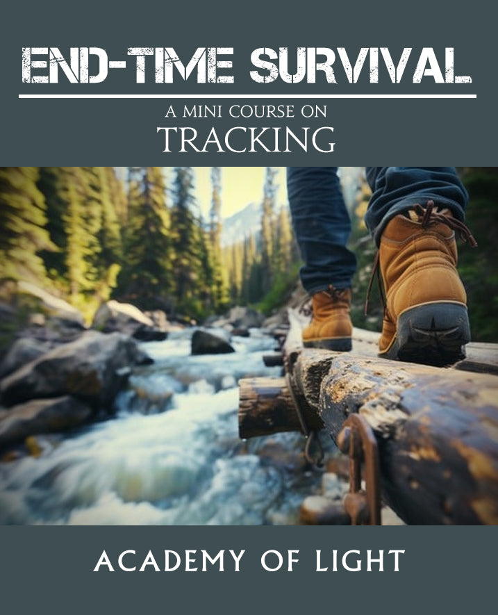 Tracking - a mini course